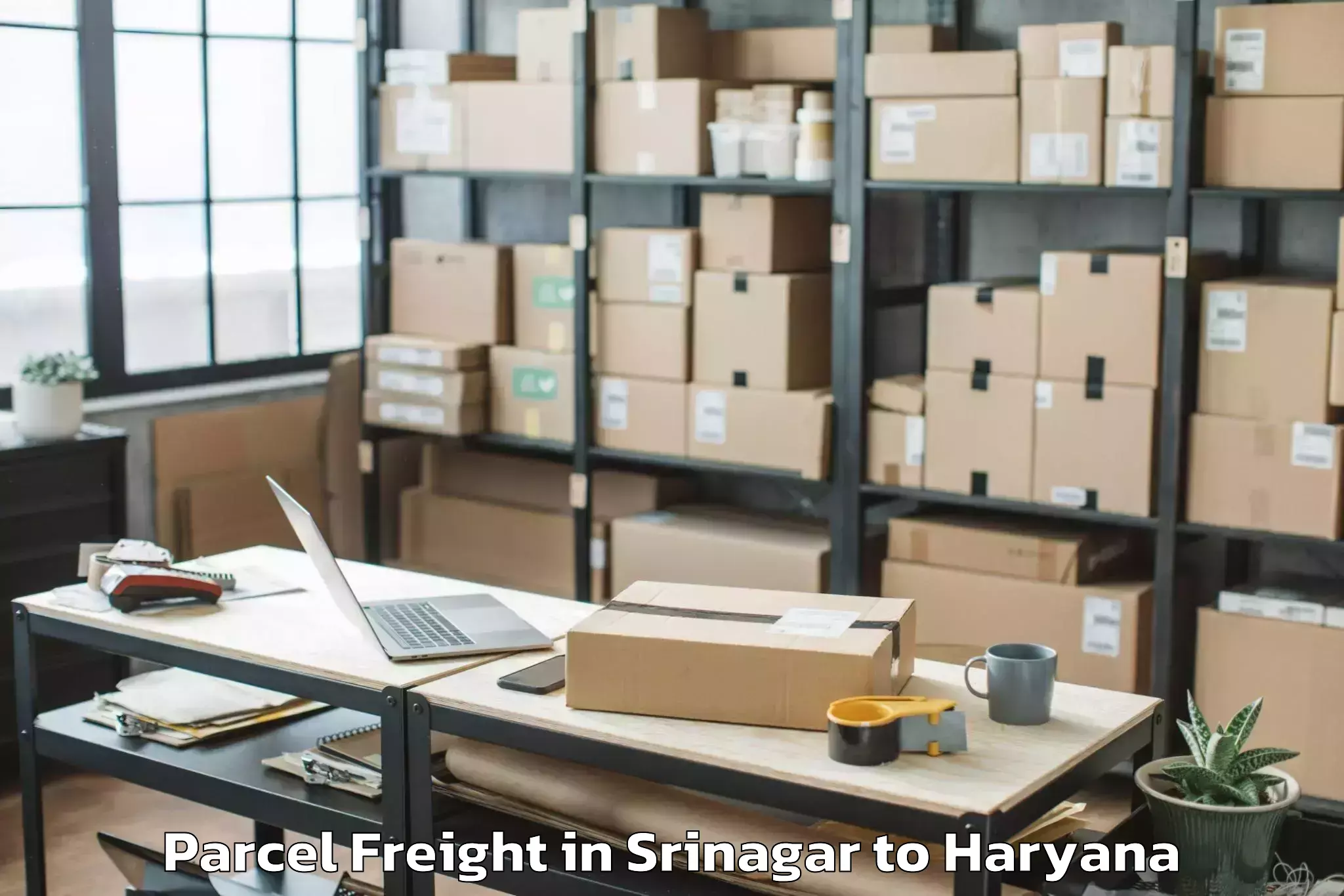 Get Srinagar to Mvn University Palwal Parcel Freight